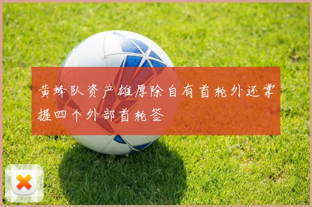 黄蜂队资产雄厚除自有首轮外还掌握四个外部首轮签