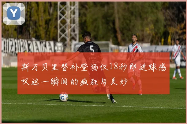 斯万贝里替补登场仅18秒即进球感叹这一瞬间的疯狂与美妙